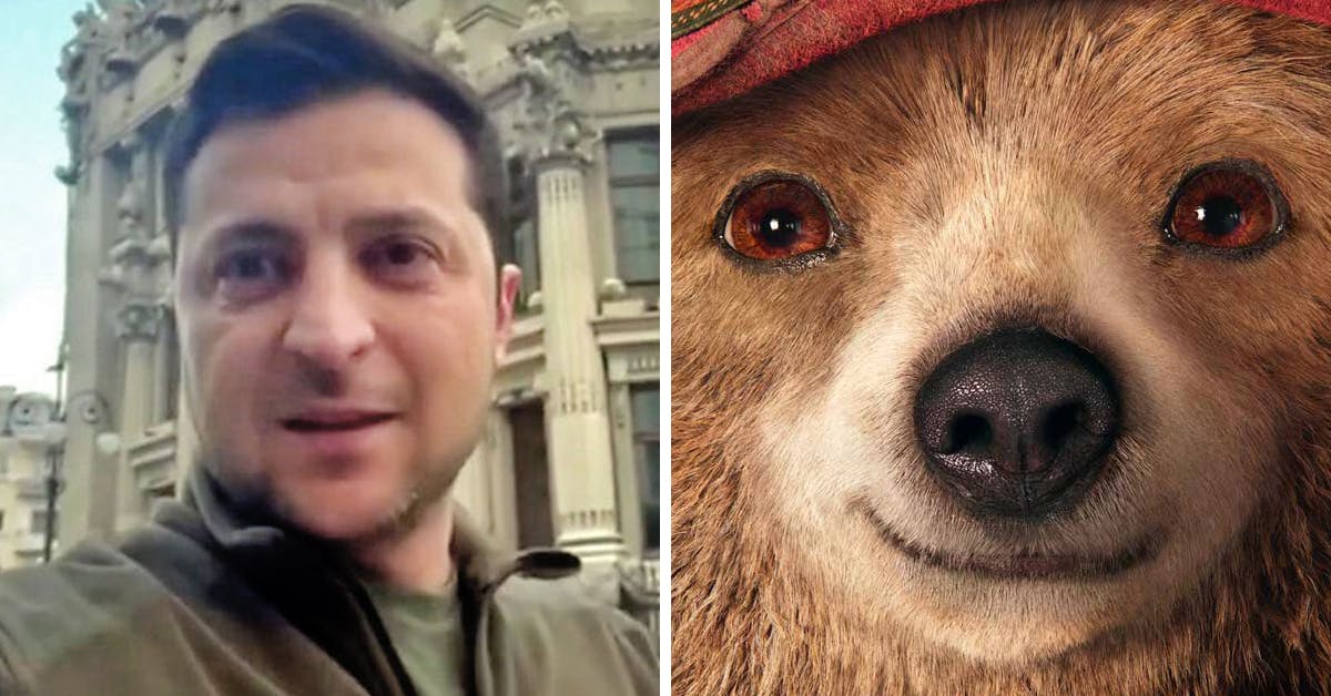 zelensky paddington