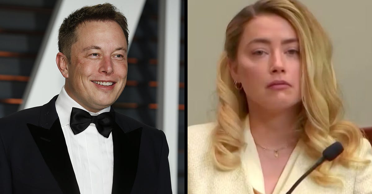 elon musk amber heard